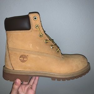 TIMS